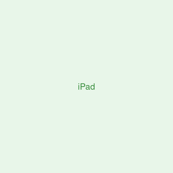iPad Air